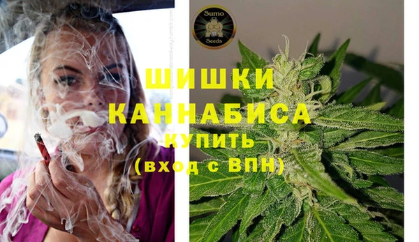 прущие грибы Рославль