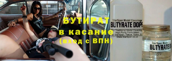 прущие грибы Рославль