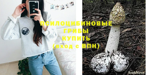 прущие грибы Рославль