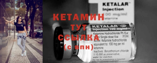 прущие грибы Рославль