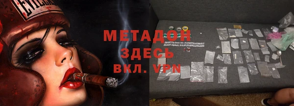 прущие грибы Рославль