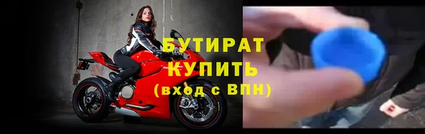 прущие грибы Рославль