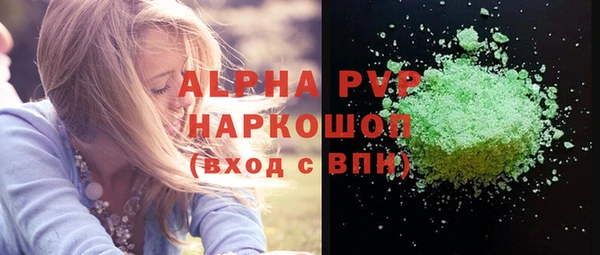 прущие грибы Рославль