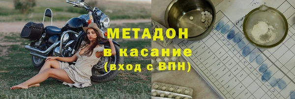 прущие грибы Рославль