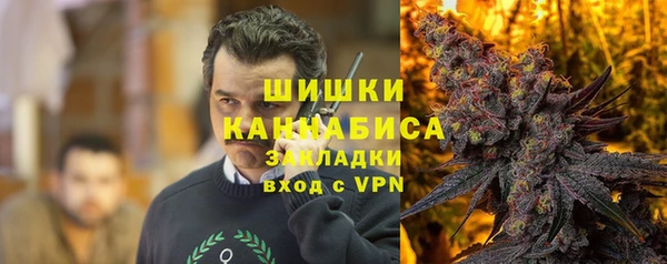 прущие грибы Рославль