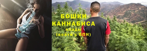 прущие грибы Рославль