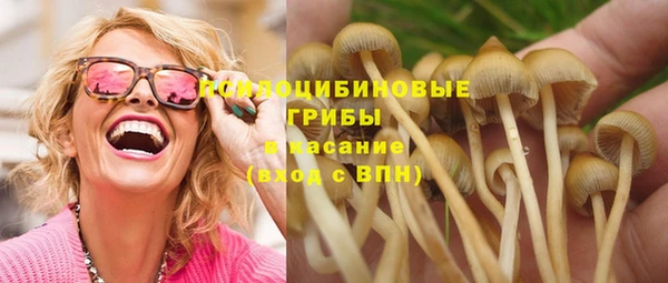 гидра Россошь